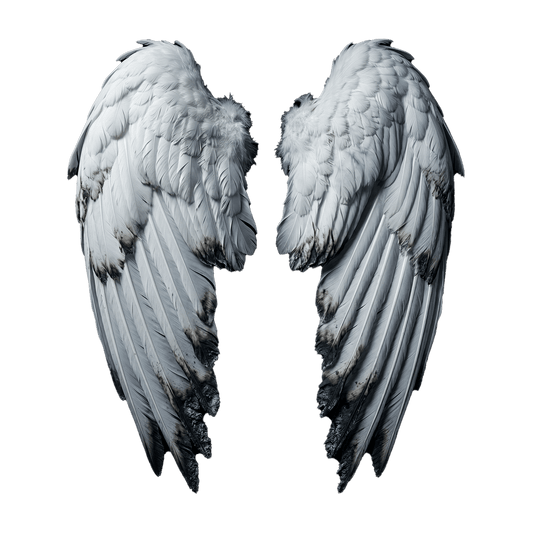RELIC 001: PAIR OF WINGS